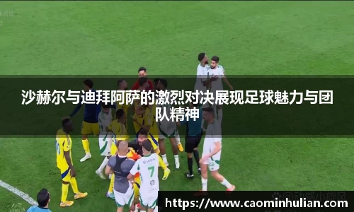 DB旗舰官网
